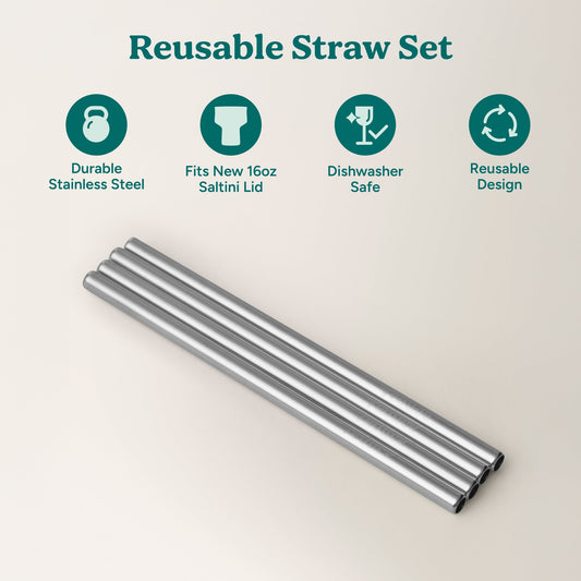 saltini-straw-set-z0 4PK_SaltiniStraws_SS-2.jpg