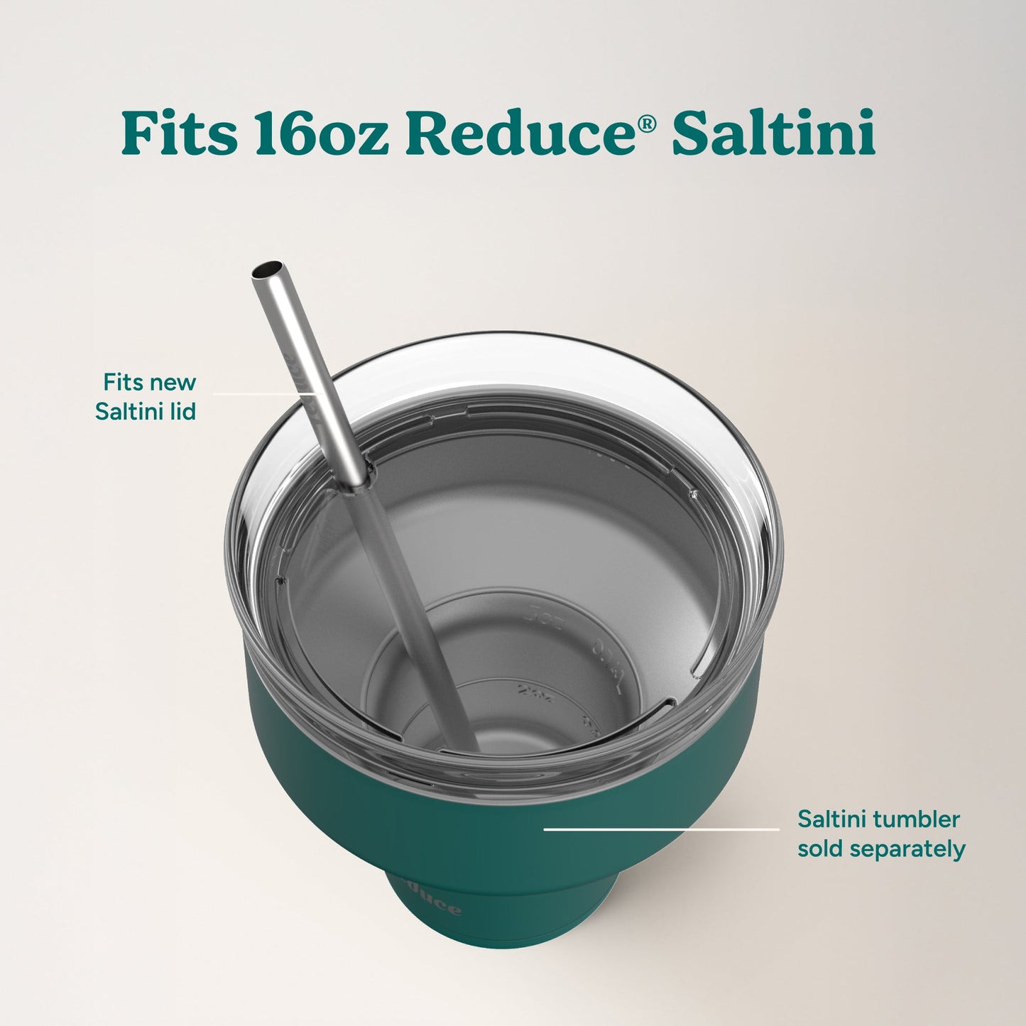 saltini-straw-set-z0 4PK_SaltiniStraws_SS-4.jpg