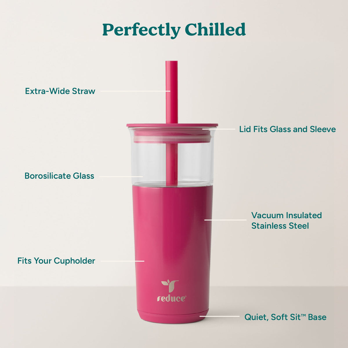 aspen-20-oz-q3 Aspen_Dragonfruit_PDP_Infographic2.jpg