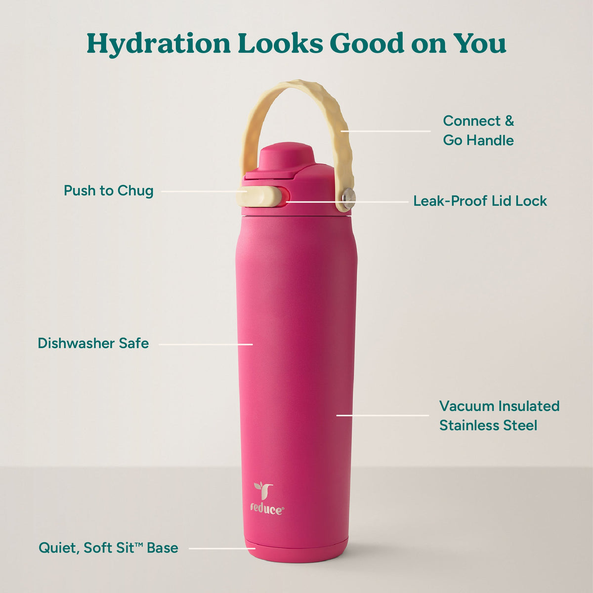 aura-26-oz-b0 Aura_26oz_DragonFruit_PDP_Infographic_2-03.jpg