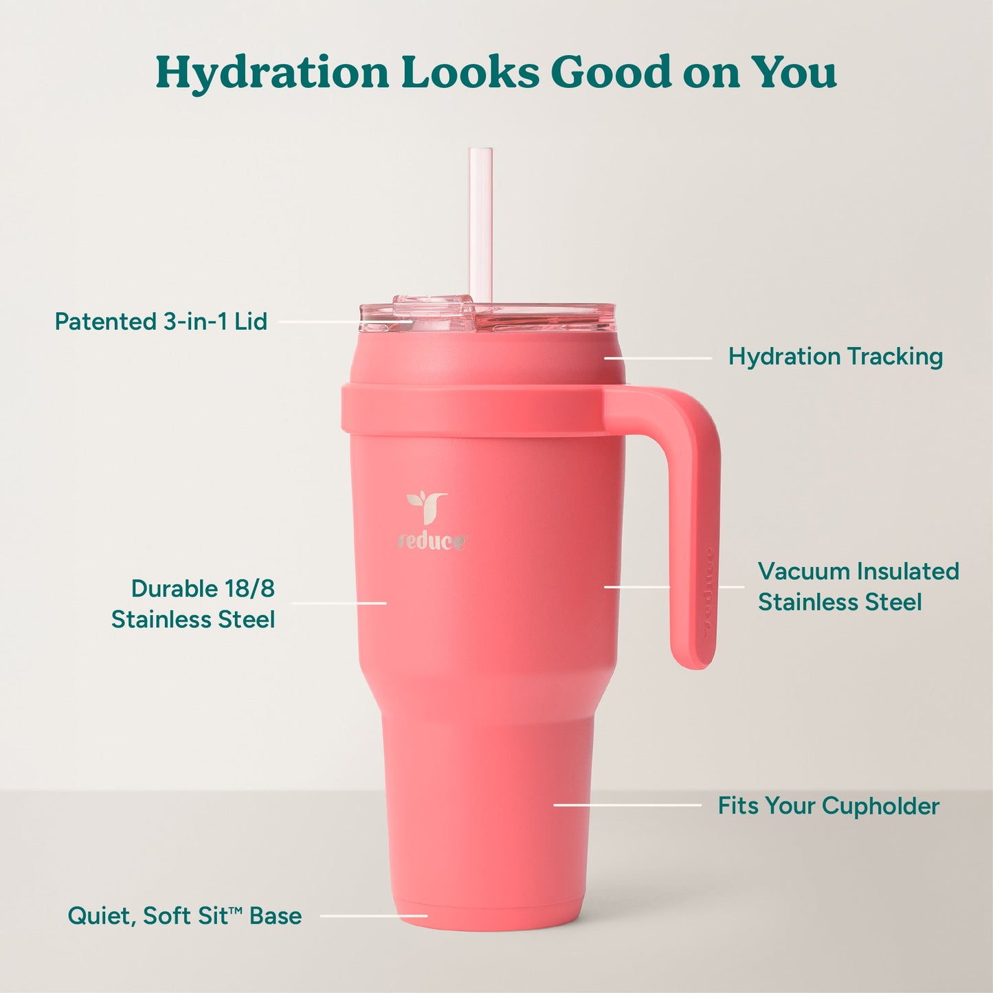cold1-40-oz-q2 Cold1_40oz_Daiquiri_Infographic_2.jpg