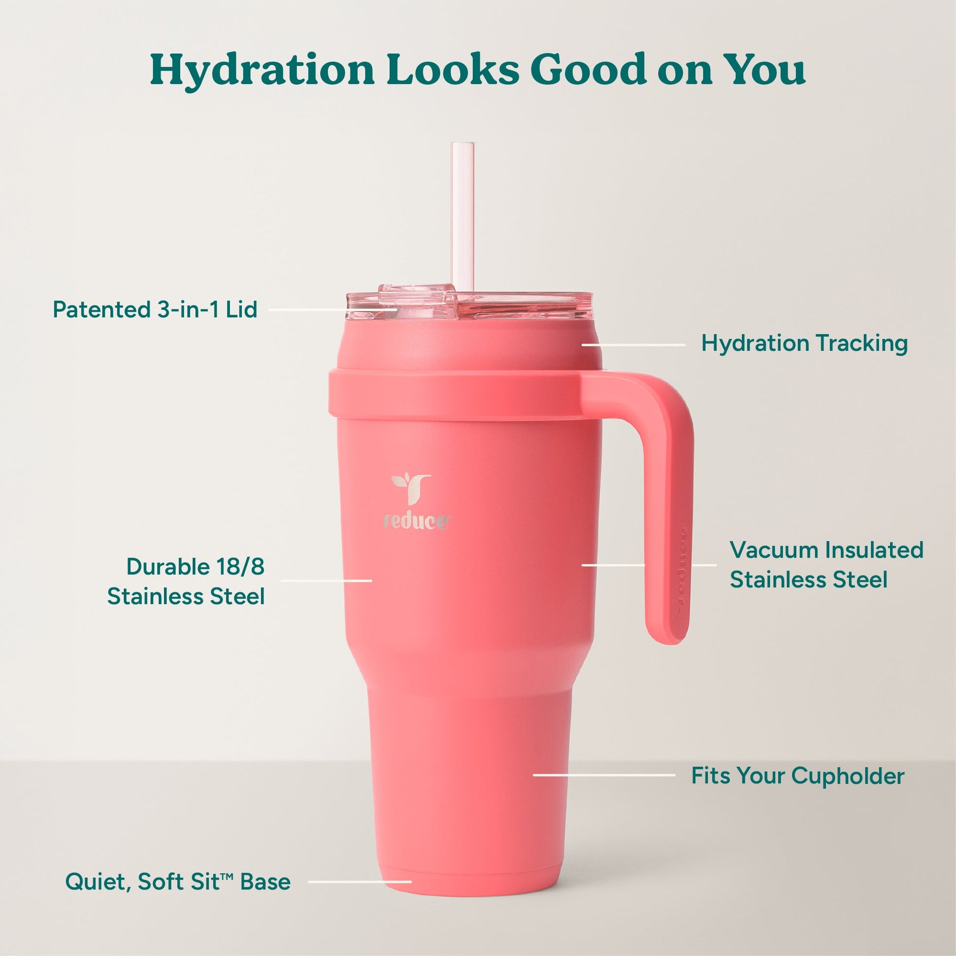 cold1-40-oz-q2 Cold1_40oz_Daiquiri_Infographic_2.jpg