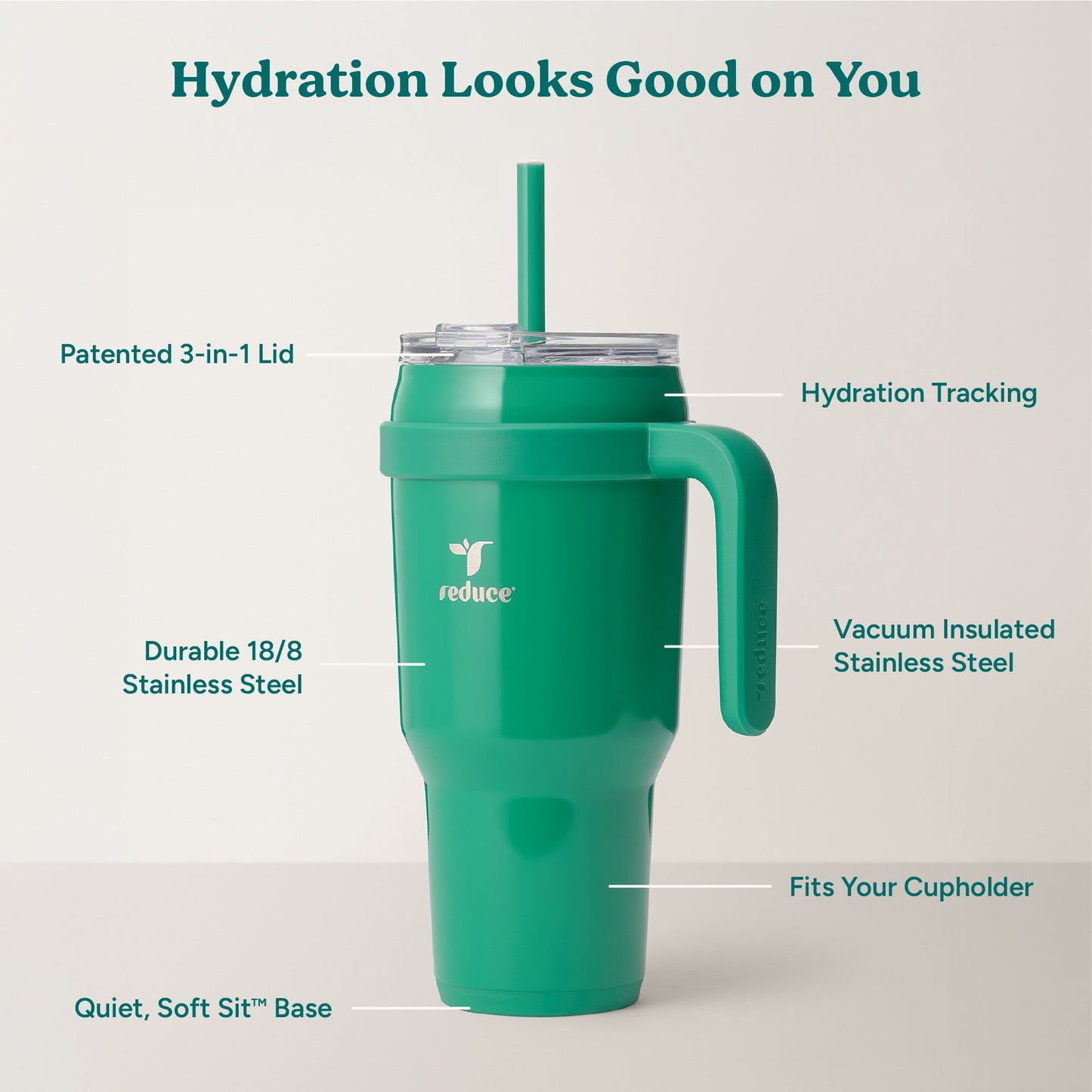 cold1-40-oz-q2 Cold1_40oz_PalmLeaf_Infographic_2.jpg