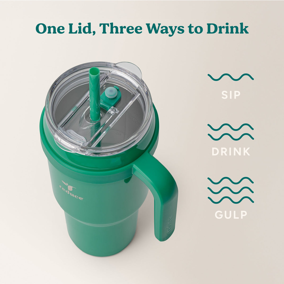 cold1-40-oz-q2 Cold1_40oz_PalmLeaf_Infographic_3.jpg