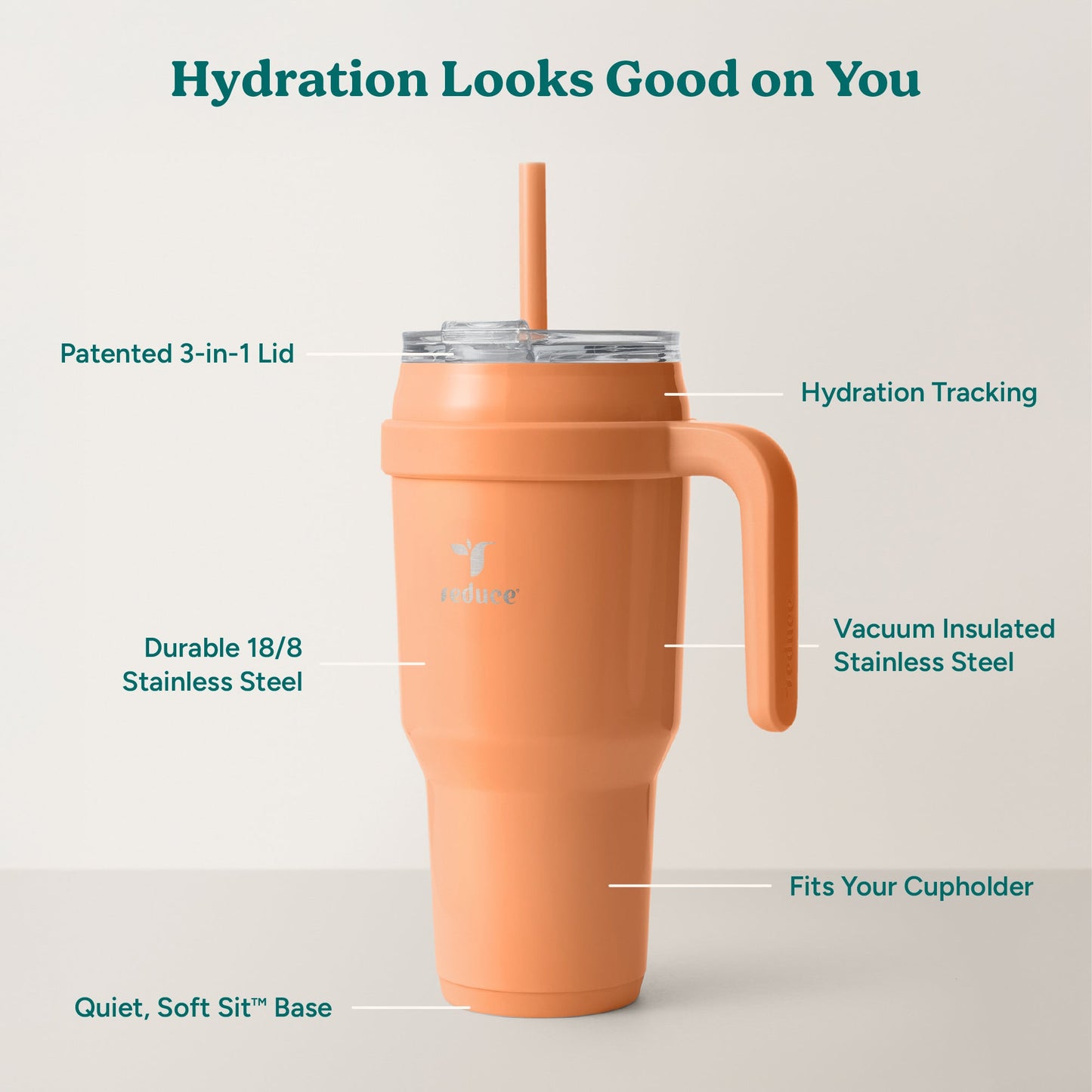 cold1-40-oz-q2 Cold1_40oz_Papaya_Infographic_2.jpg