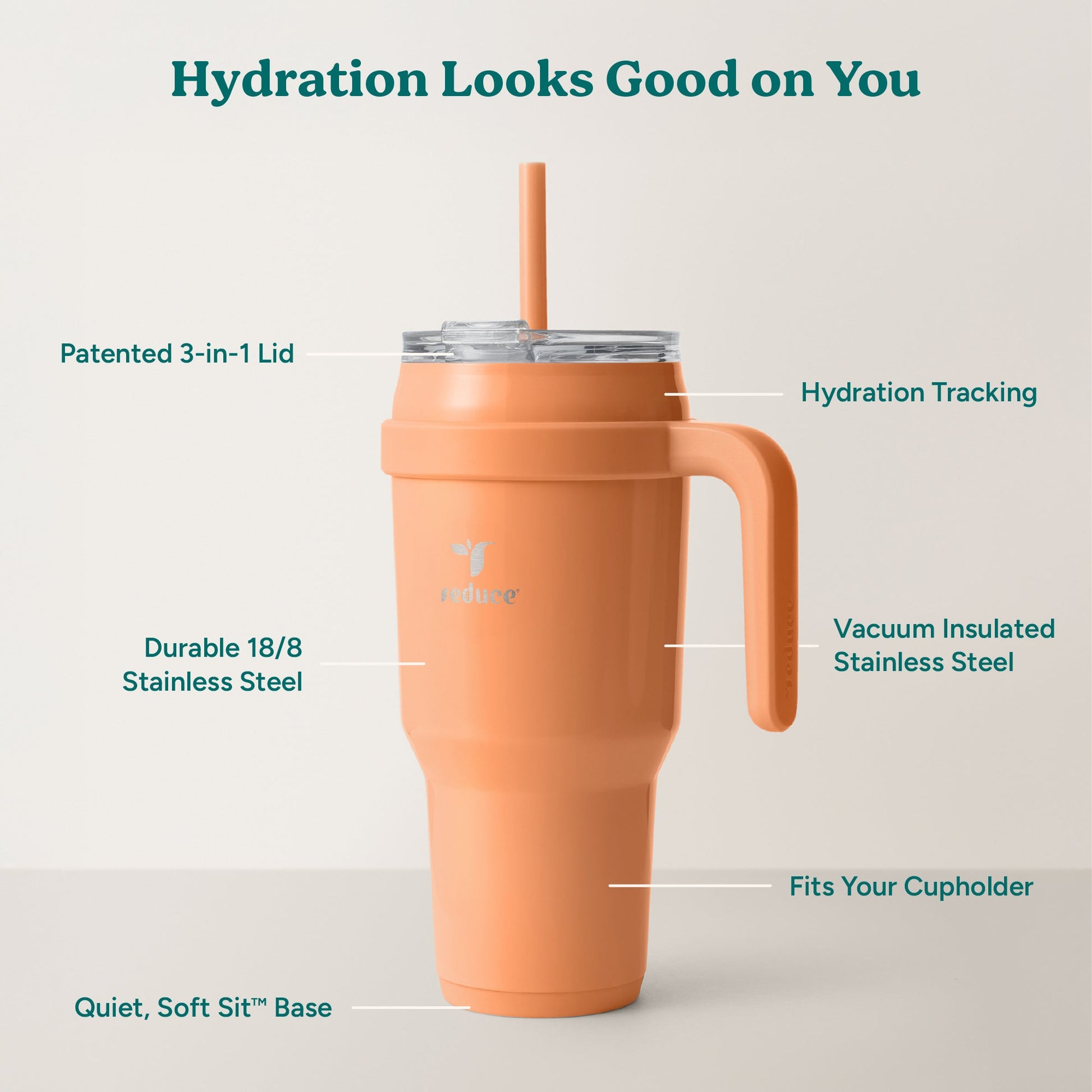 cold1-40-oz-q2 Cold1_40oz_Papaya_Infographic_2.jpg
