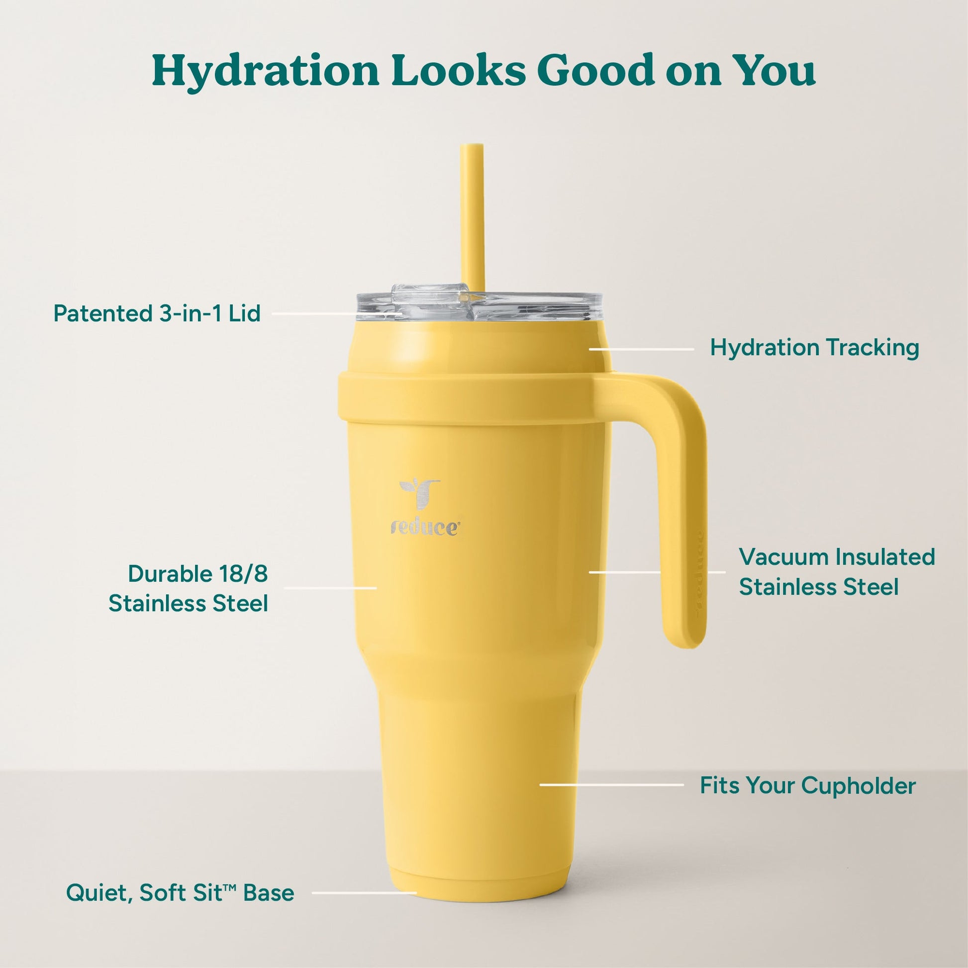 cold1-40-oz-q2 Cold1_40oz_Pineapple_Infographic_2.jpg